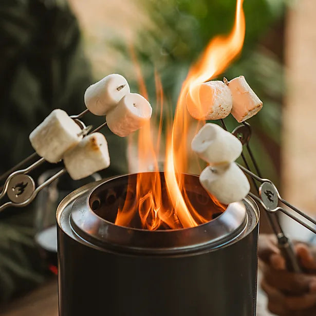 Mini Roasting Sticks, BBQ Sticks, Skewers  | Accessory Collection