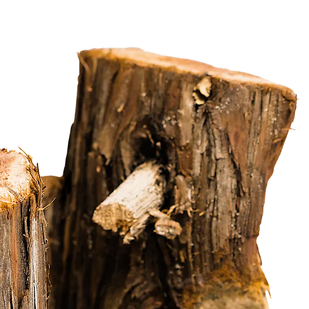 Juniper Aromatic Firewood